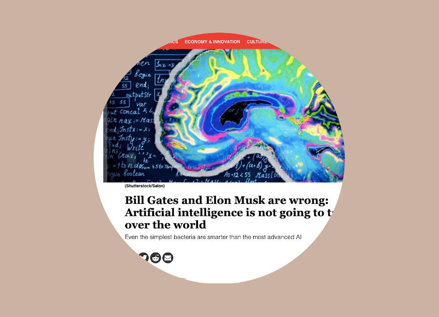 Salon.com article screenshot